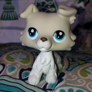 Littlest pet shop collie